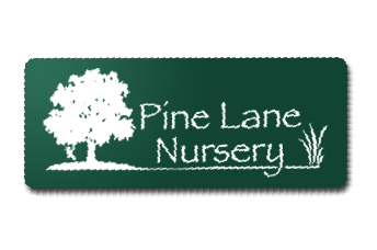 Pine Lane Nursery -Great stock of trees and plants. The only garden center we use.